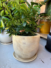 Load image into Gallery viewer, Meraki Handmade Planters