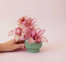 Load image into Gallery viewer, Presley Pedestal Pot