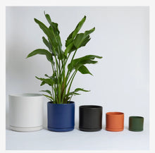 Load image into Gallery viewer, Solid Goods by LBE - Cylinder with Saucer