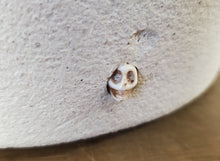 Load image into Gallery viewer, Todd Terranova Skull Planter Collection