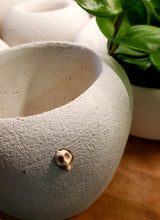 Load image into Gallery viewer, Todd Terranova Skull Planter Collection