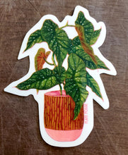 Load image into Gallery viewer, Plant Stickers