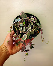 Load image into Gallery viewer, String of Hearts