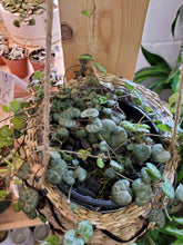 Load image into Gallery viewer, String of Hearts