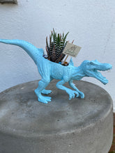 Load image into Gallery viewer, Plant-A-Pus Plant Art