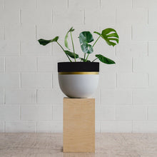 Load image into Gallery viewer, Toast & Honey Pots