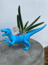 Load image into Gallery viewer, Plant-A-Pus Plant Art