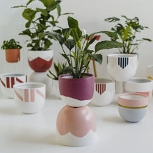 Load image into Gallery viewer, Toast & Honey Pots