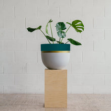 Load image into Gallery viewer, Toast & Honey Pots