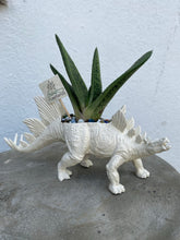 Load image into Gallery viewer, Plant-A-Pus Plant Art