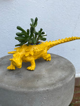 Load image into Gallery viewer, Plant-A-Pus Plant Art