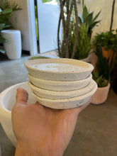 Load image into Gallery viewer, Todd Terranova Skull Planter Collection