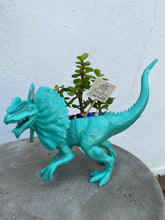 Load image into Gallery viewer, Plant-A-Pus Plant Art