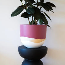 Load image into Gallery viewer, Toast & Honey Pots