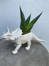 Load image into Gallery viewer, Plant-A-Pus Plant Art