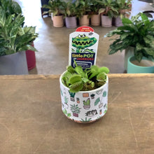 Load image into Gallery viewer, Venus Fly Trap