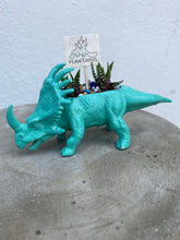 Load image into Gallery viewer, Plant-A-Pus Plant Art