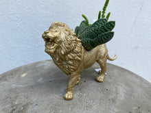 Load image into Gallery viewer, Plant-A-Pus Plant Art