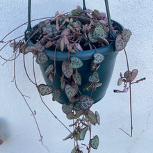 Load image into Gallery viewer, String of Hearts