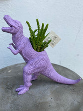 Load image into Gallery viewer, Plant-A-Pus Plant Art