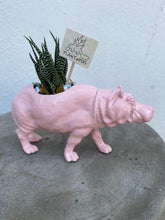 Load image into Gallery viewer, Plant-A-Pus Plant Art