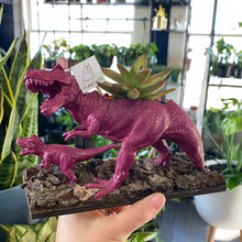 Load image into Gallery viewer, Plant-A-Pus Plant Art