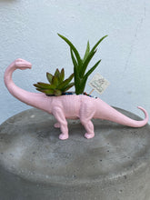 Load image into Gallery viewer, Plant-A-Pus Plant Art