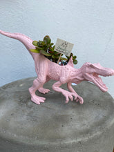 Load image into Gallery viewer, Plant-A-Pus Plant Art