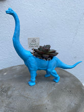 Load image into Gallery viewer, Plant-A-Pus Plant Art