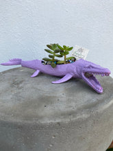 Load image into Gallery viewer, Plant-A-Pus Plant Art