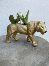 Load image into Gallery viewer, Plant-A-Pus Plant Art