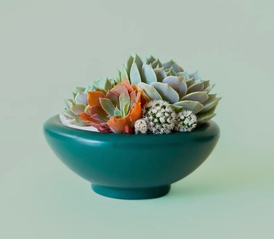 Birdie Bowl
