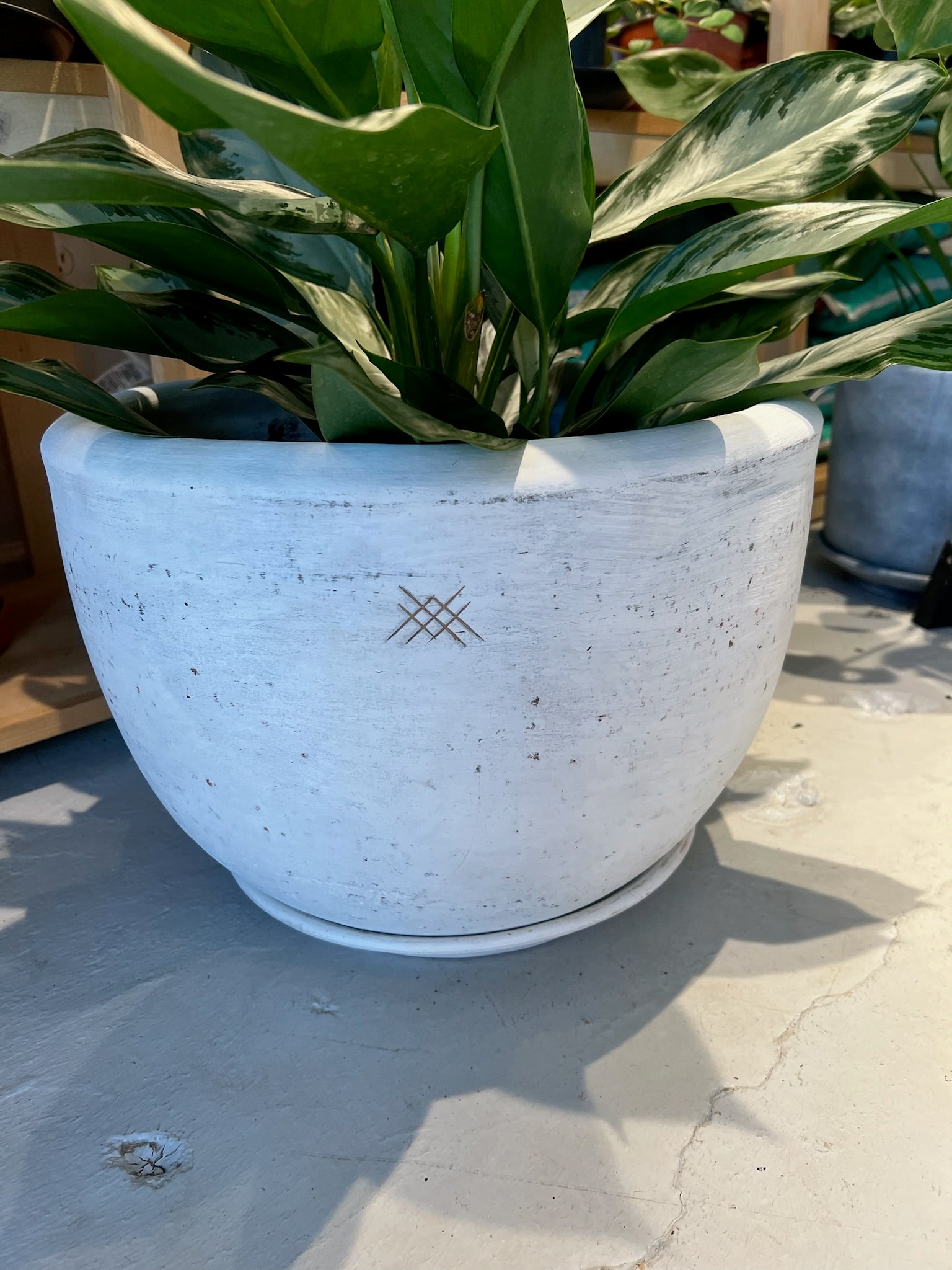 Meraki Handmade Planters – Lush Plant Co. Decatur