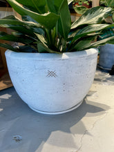 Load image into Gallery viewer, Meraki Handmade Planters
