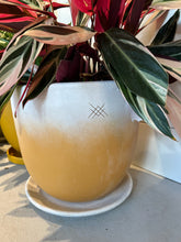 Load image into Gallery viewer, Meraki Handmade Planters
