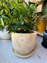 Load image into Gallery viewer, Meraki Handmade Planters
