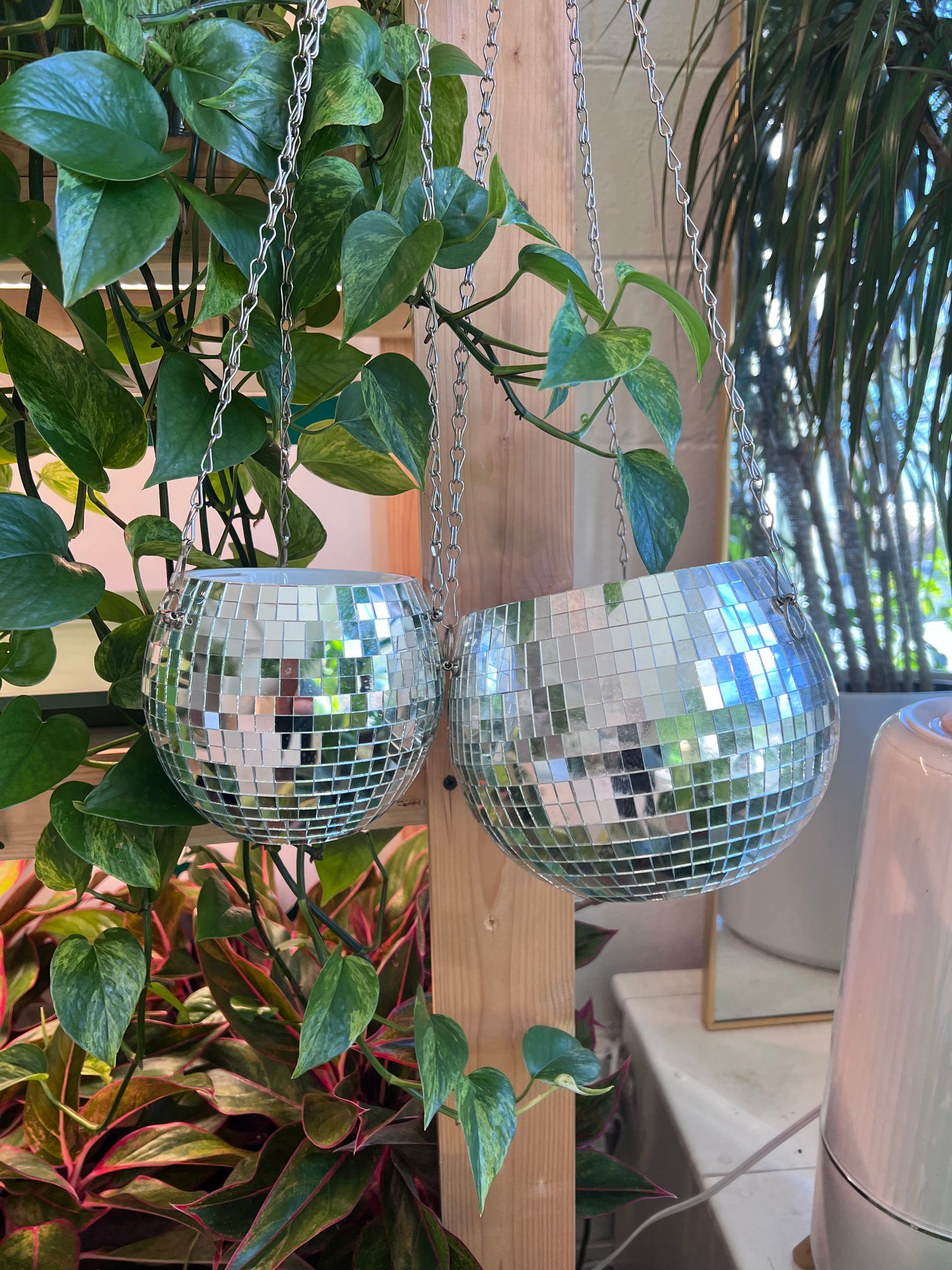 disco hanging planter Disco Hanging Planter – Lush Plant Co. Decatur
