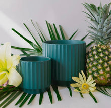 Load image into Gallery viewer, Monroe Pot
