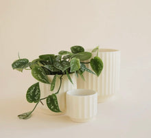 Load image into Gallery viewer, Monroe Pot
