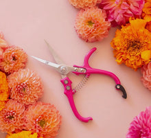 Load image into Gallery viewer, Pruning Shears
