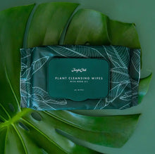 Load image into Gallery viewer, Plant Cleansing Wipes - Neem Oil Infused
