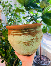 Load image into Gallery viewer, Vintage Planters
