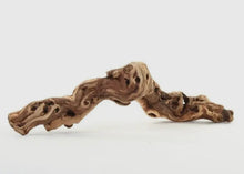 Load image into Gallery viewer, Air Plant - Tillandsia Varieties
