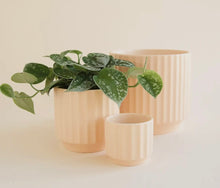 Load image into Gallery viewer, Monroe Pot
