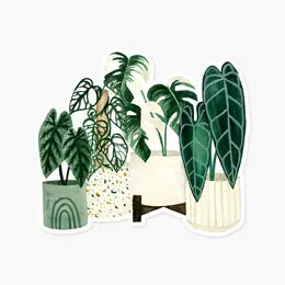 Plant Stickers – Lush Plant Co. Decatur