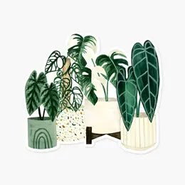 Plant Stickers