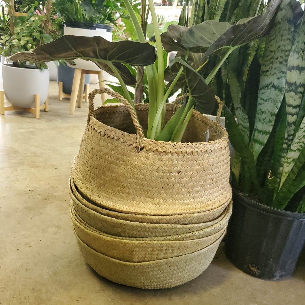 Natural Basket