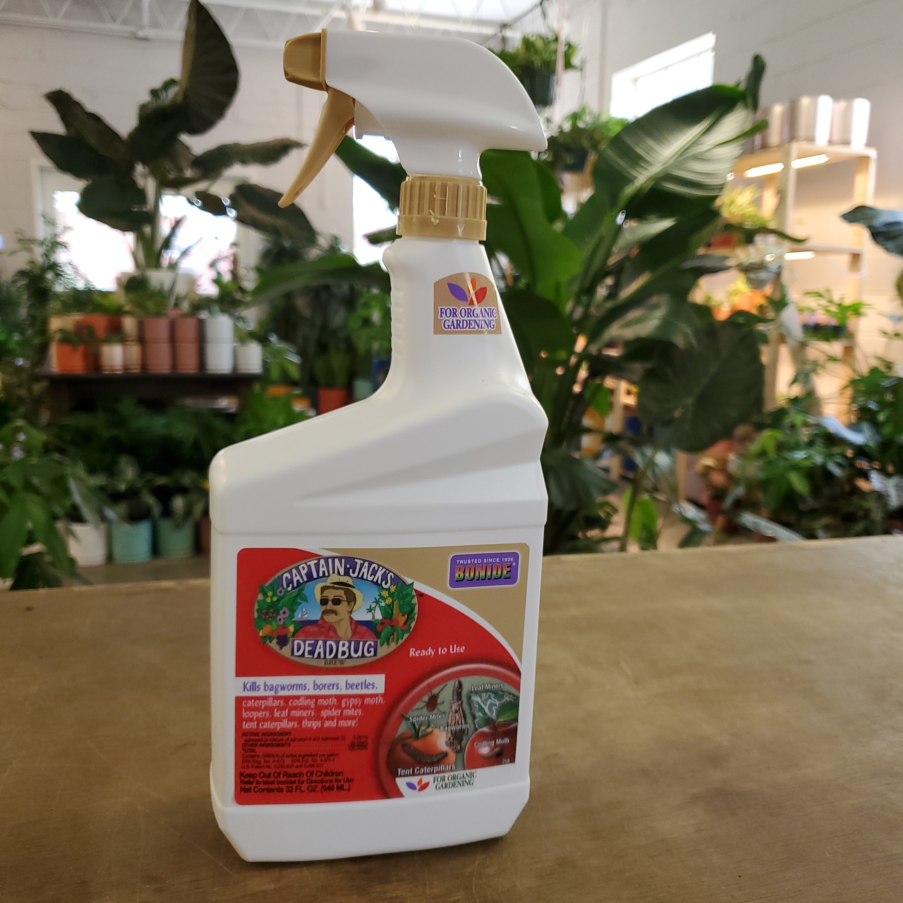 captain jack's for indoor plants Captain Jack's Deadbug Brew