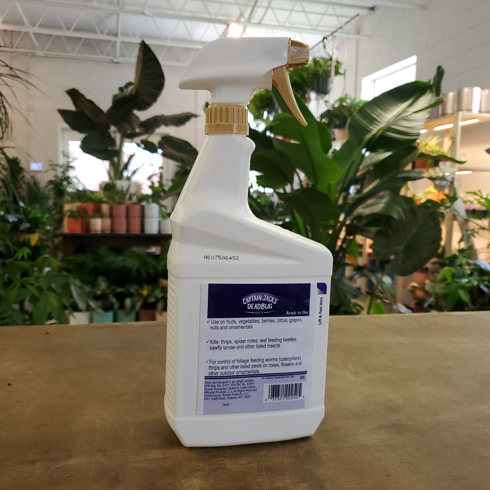 captain jack's for indoor plants Captain Jack's Deadbug Brew