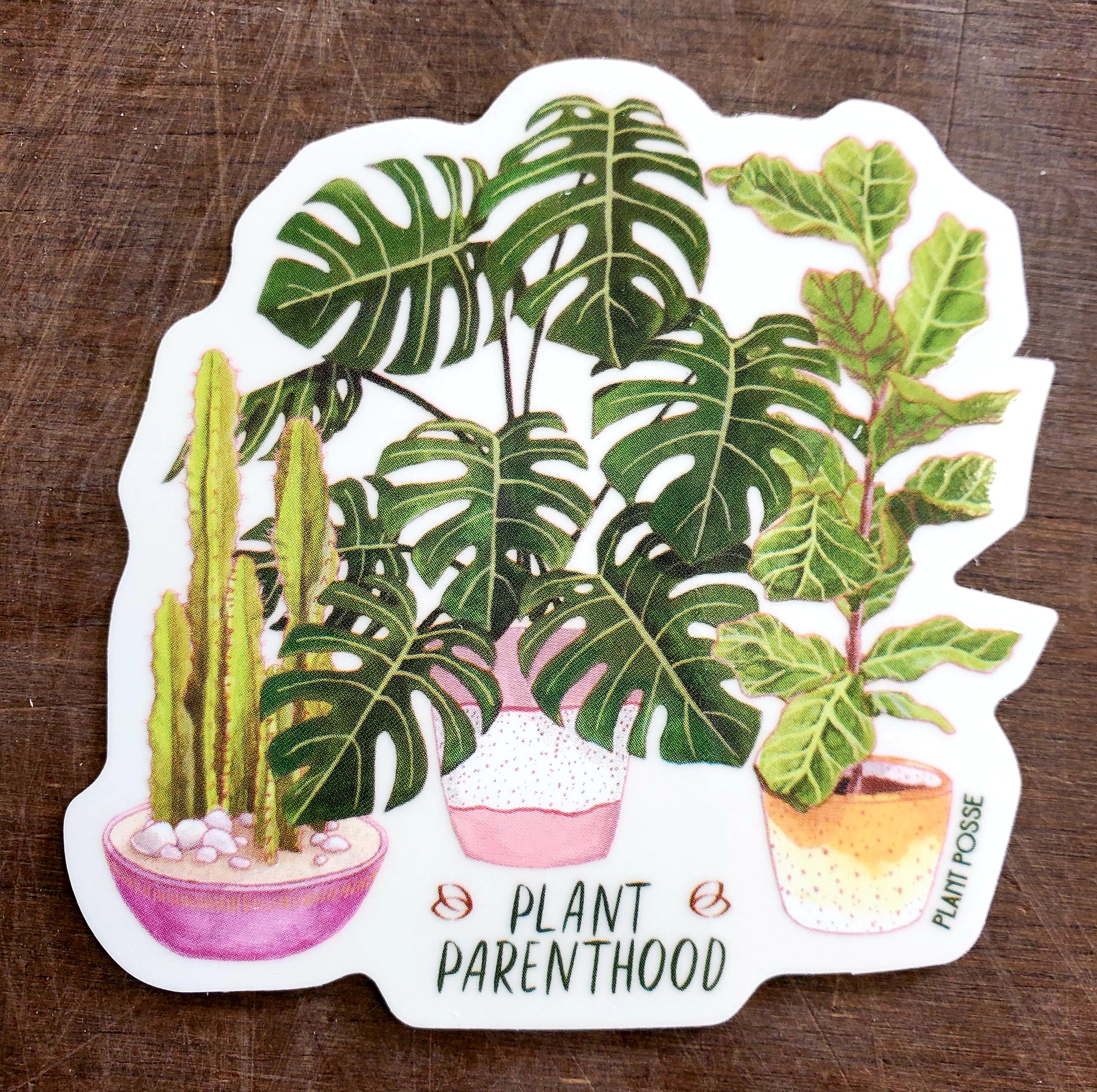 Plant Stickers – Lush Plant Co. Decatur